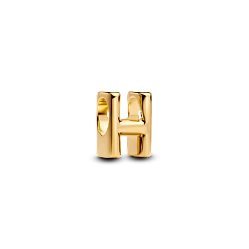 763954C00 Шарм «Буква H»