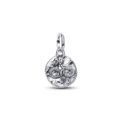 793976C01 Шарм-медальон «Змея и бесконечность»