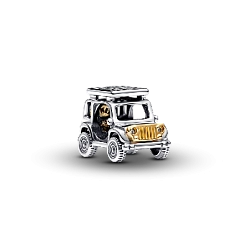 763330C01 Шарм «Авто для приключений»