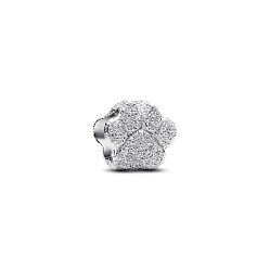 794043C00 Мини-шарм «Лапка»