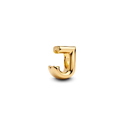 763956C00 Шарм «Буква J»