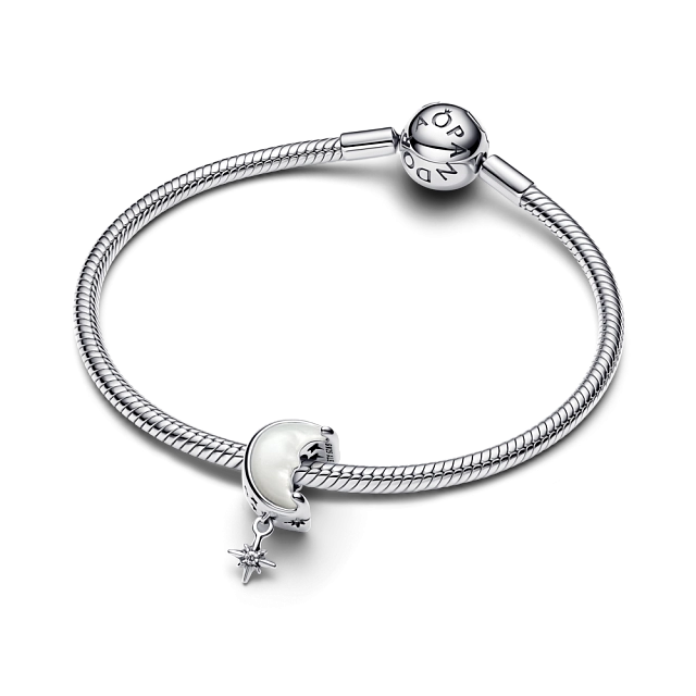 793594C01 Серебряная бусина, несколько камней